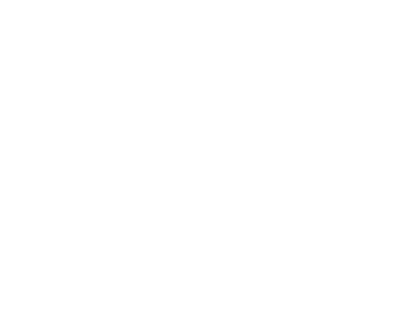 Logo WE